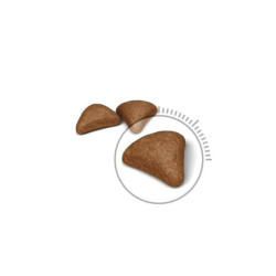 Royal Canin FCN Hairball Care maistas suaugusioms katėms prarytų plaukų kamuolių mažinimui 0,4 kg - nuotrauka 4