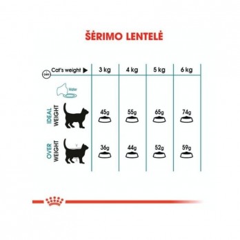 Royal Canin FCN Hairball Care maistas suaugusioms katėms prarytų plaukų kamuolių mažinimui 2 kg