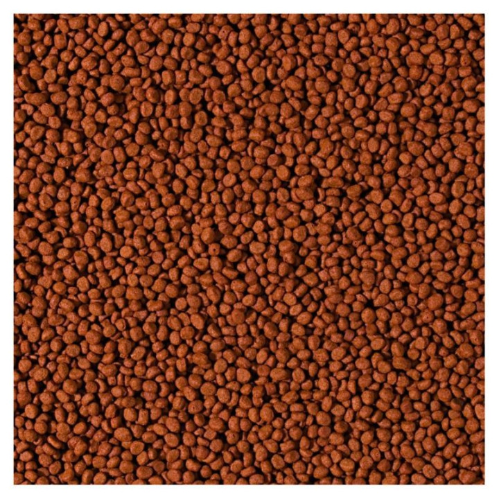 Tropical Cichlid Carnivore Small Pellet visavertis pašaras žuvims 5 l (1,8 kg)