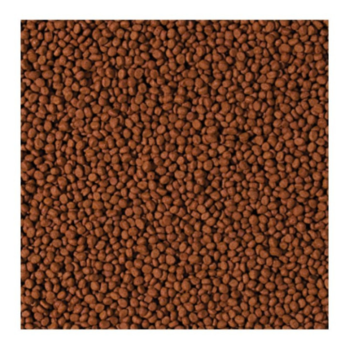 Maistas ciklidams Tropical Cichlid Carnivore Small Pellet 10 l