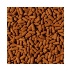 Tropical Cichlid&Arowana Large Sticks maistas žuvims 1000 ml - nuotrauka 2