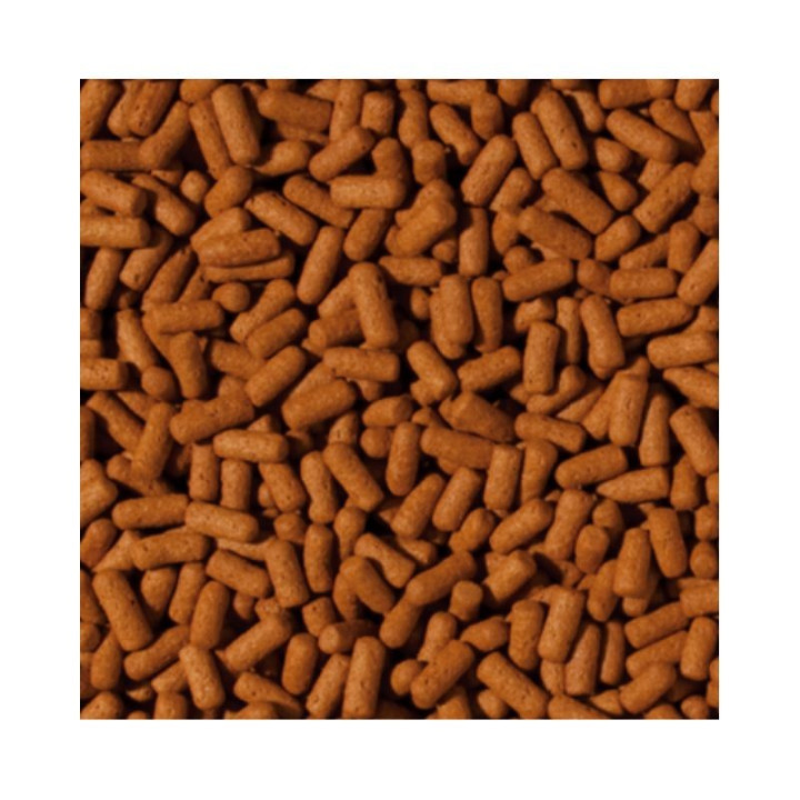 Maistas arovanoms Tropical Cichlid&Arowana Large Sticks 5 l (1,5 kg)