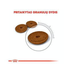Royal Canin FCN Digestive Care maistas suaugusioms katėms gerai virškinimo sistemos veiklai 2 kg - nuotrauka 2