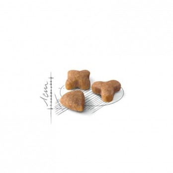Royal Canin FHN Regular Sensible 33 maistas jautrią virškinimo sistemą turinčioms katėms 2 kg