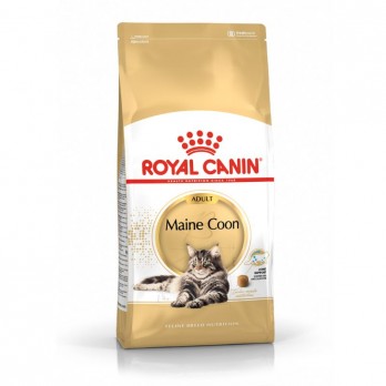 Royal Canin Maine Coon Sausas maistas Meino meškėnų veislės katėms 0,4 kg