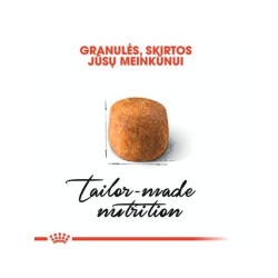 Royal Canin Maine Coon Sausas maistas Meino meškėnų veislės katėms 2 kg - nuotrauka 2