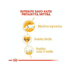 Royal Canin Maine Coon Sausas maistas Meino meškėnų veislės katėms 2 kg - nuotrauka 3