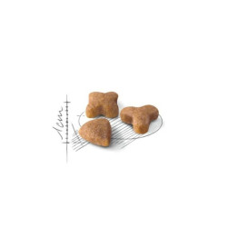 Royal Canin FHN Regular Sensible 33 maistas jautrią virškinimo sistemą turinčioms katėms 10 kg - nuotrauka 2