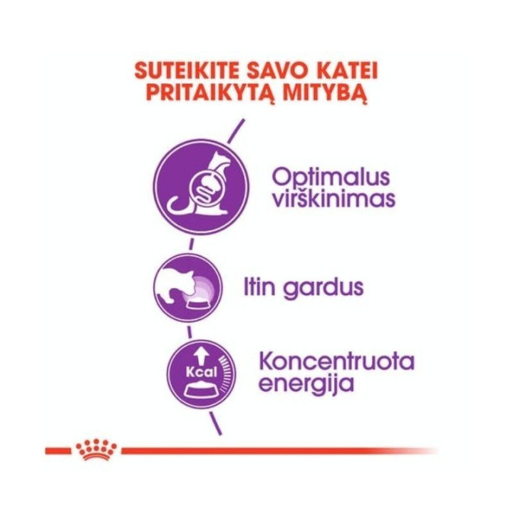 Kačių maistas Royal Canin FHN Regular Sensible 33 10 kg | Akvazoo.lt