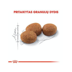 Royal Canin FHN Regular Sterilised 37 maistas sterilizuotoms suaugusioms katėms 10 kg - nuotrauka 2