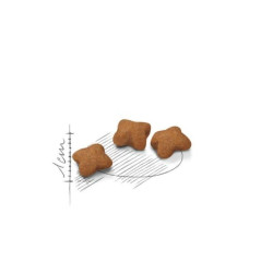 Royal Canin FHN Second Age Kitten Sterilised maistas sterilizuotiems/kastruotiems kačiukams 2 kg - nuotrauka 2
