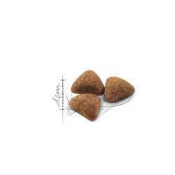 Royal Canin FHN Home Life Indoor 27 maistas namuose gyvenačioms katėms 10 kg - nuotrauka 2