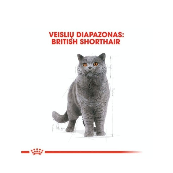 Kačių maistas Royal Canin FBN British Shorthair Adult 2 kg