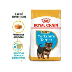 Royal Canin BHN Yorkshire Terrier Junior maistas jauniems šuniukams 1,5 kg - nuotrauka 3