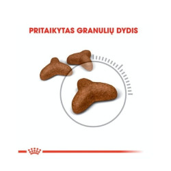 Royal Canin FCN Light Weight Care sausas maistas katėms nuo nutukimo 0,4 kg - nuotrauka 2