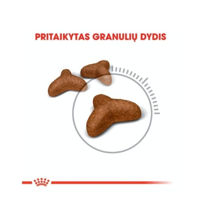 Kačių maistas Royal Canin FCN Light Weight Care 0,4 kg