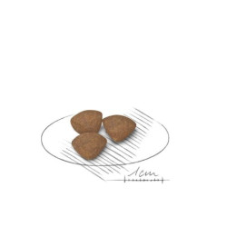 Royal Canin SHN MINI Puppy maistas jauniems šuniukams 2 kg - nuotrauka 2