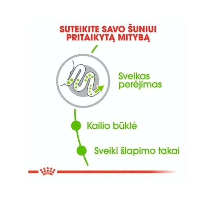 Šunų maistas Royal Canin SHN X-SMALL Adult | Akvazoo.lt