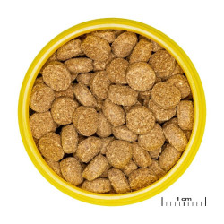 JBL ProNovo Crabs Wafer M pašaras krabams ir krevetėms 250 ml - nuotrauka 2