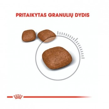 Royal Canin FCN Urinary Care maistas katėms šlapimo sistemos ligų profilaktikai 0,4 kg