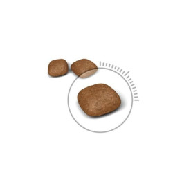 Royal Canin FCN Urinary Care maistas katėms šlapimo sistemos ligų profilaktikai 0,4 kg - nuotrauka 4