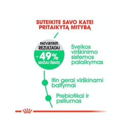 Royal Canin FCN Digestive Care maistas suaugusioms katėms gerai virškinimo sistemos veiklai 0,4 kg - nuotrauka 3
