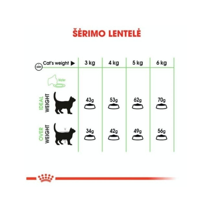 Kačių maistas Royal Canin FCN Digestive Care geram virškinimui