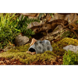 Slėptuvė ropliams Exoterra Wet Rock Medium, 9x10,5x16,5 cm - nuotrauka 3