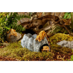 Slėptuvė ropliams Exoterra Wet Rock Large, 11x11x20 cm - nuotrauka 4