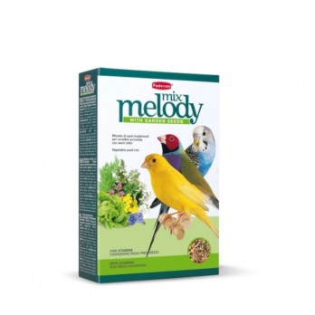 Sėklų mišinys paukščiams giedojimui Padovan MelodyMix 300 g