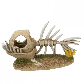 Dekoracija akvariumui Žuvies skeletas, 12,5x10,5x19 cm