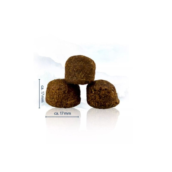 Sausas maistas suaugusiems šunims Happy Dog Maxi Adult, 2x4 kg