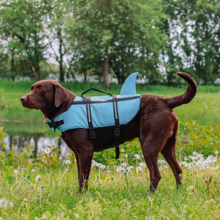 Gelbėjimo liemenė šuniui Sharki XL, žydra, 45 cm