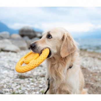 *Žaislas šunims Frisbee guminė skraidanti lėkštė, oranžinė, 22 cm, maxi