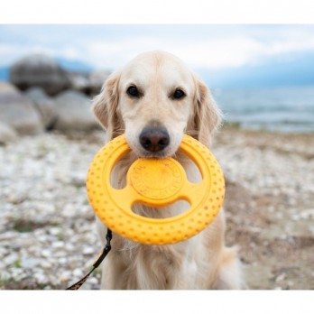 *Žaislas šunims Frisbee guminė skraidanti lėkštė, oranžinė, 22 cm, maxi