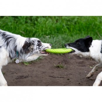 *Žaislas šunims Frisbee guminė skraidanti lėkštė, oranžinė, 22 cm, maxi