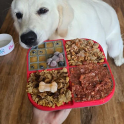 Laižymo kilimėlis LickiMat Dog Slomo, raudonas - nuotrauka 3