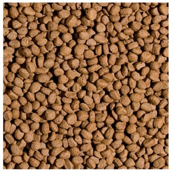 *Koi Probiotic Pellet M pašaras Koi karpiams, 1000 ml