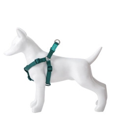 Petnešos Basic Nylon A-Type, žalios, 10 mm x 20-36 cm - nuotrauka 2