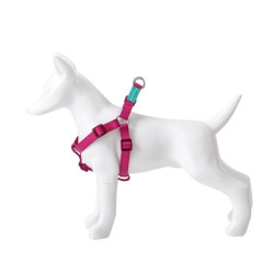 Petnešos Basic Nylon A-Type, vyšninės, 10 mm x 20-36 cm - nuotrauka 2
