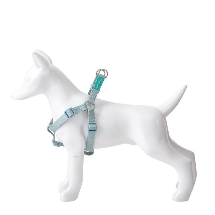 Petnešos Basic Nylon A-Type, žydros, 10 mm x 20-36 cm
