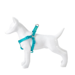 Petnešos Basic Nylon A-Type, turkio spalvos, 10 mm x 20-36 cm - nuotrauka 2