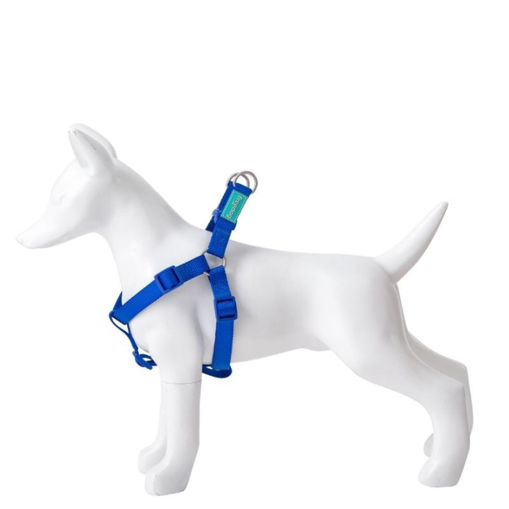 Petnešos Basic Nylon A-Type, mėlynos, 15 mm x 30-50 cm