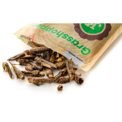 Džiovinti žiogai, 80 g - nuotrauka 3