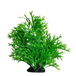 Augalas dirbtinis 35 cm - nuotrauka 2