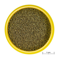 JBL ProNovo Danio Grano XS universalus pašaras žuvims 100 ml (click) - nuotrauka 2