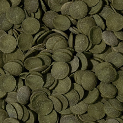 Tropical Green Algae Wafers pašaras dugninėms žuvims 250 ml + 10% - nuotrauka 2