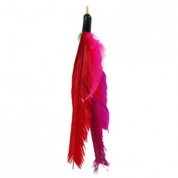 Žaislas katėms meškerė su plunksna Magic Cat, 45 cm