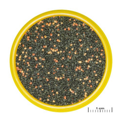 JBL ProNovo Guppy Grano S pašaras gupijoms 250 ml - nuotrauka 2