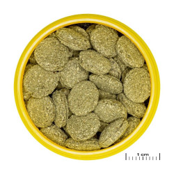 JBL ProNovo Pleco Wafer M pašaras žuvims 1000 ml - nuotrauka 2